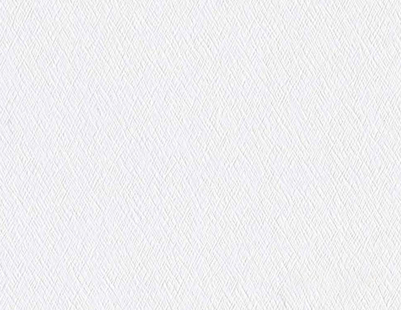 Criss Cross - Erica Puccio