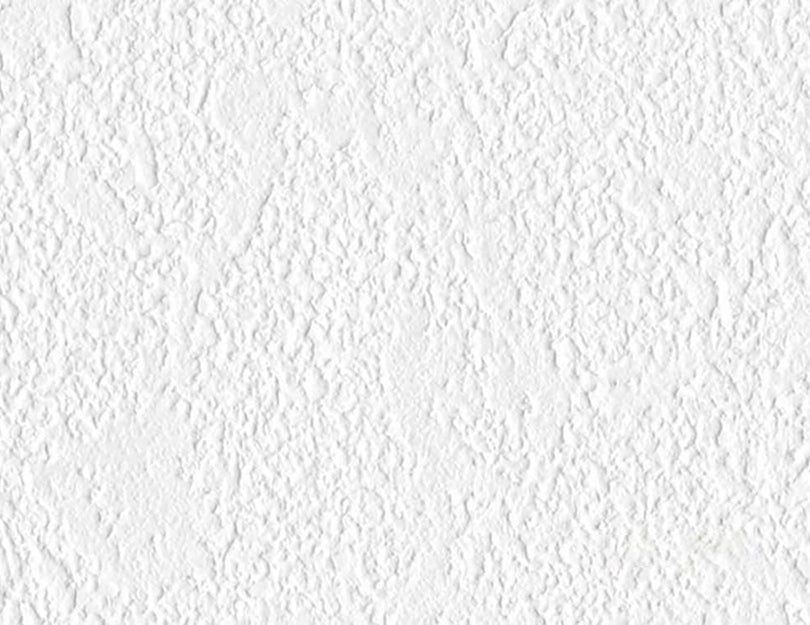 Plaster - Erica Puccio