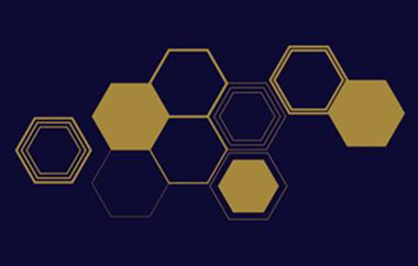 Beehive - Erica Puccio