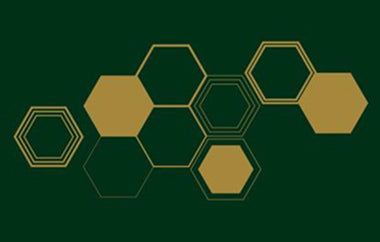 Beehive - Erica Puccio