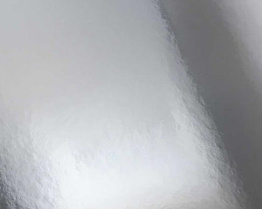 Silver - Erica Puccio