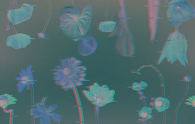 Double Take - Erica Puccio