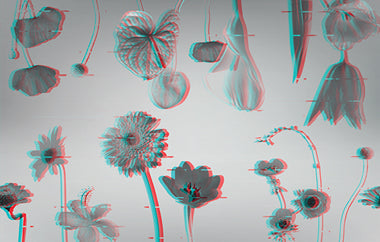 Double Take - Erica Puccio