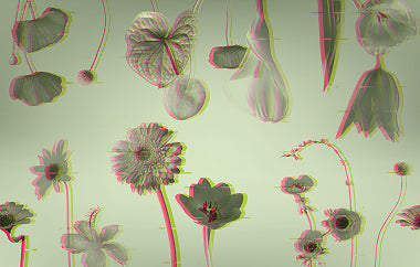 Double Take - Erica Puccio