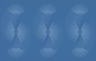 Fan Fair - Erica Puccio