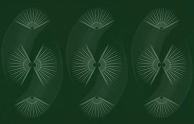 Fan Fair - Erica Puccio