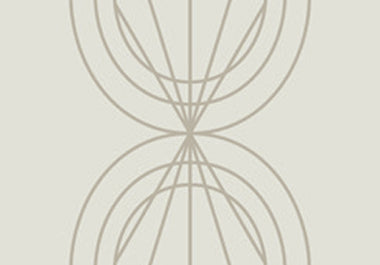 Petal - Erica Puccio