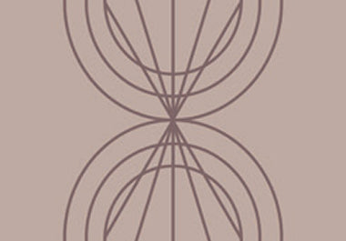 Petal - Erica Puccio