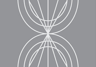 Petal - Erica Puccio