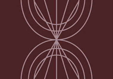 Petal - Erica Puccio