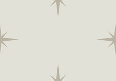 North Star - Erica Puccio