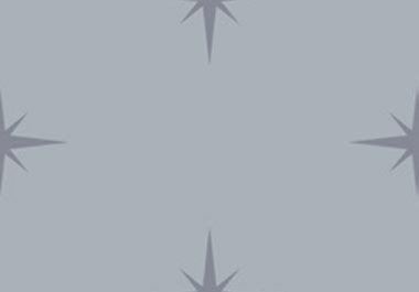 North Star - Erica Puccio