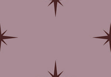 North Star - Erica Puccio