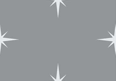 North Star - Erica Puccio