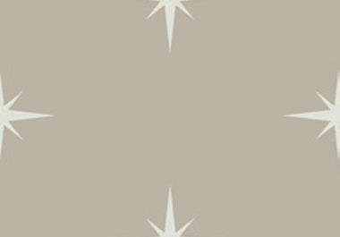 North Star - Erica Puccio