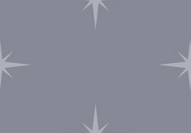 North Star - Erica Puccio