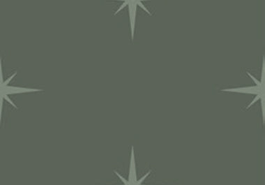 North Star - Erica Puccio