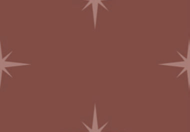 North Star - Erica Puccio