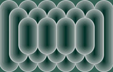 Looped - Erica Puccio