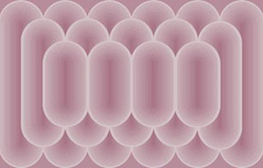 Looped - Erica Puccio