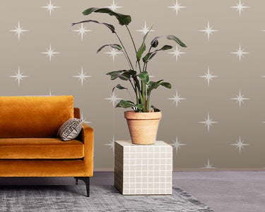 North Star - Erica Puccio