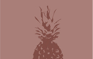 Pineapple - Erica Puccio