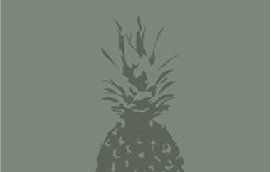 Pineapple - Erica Puccio