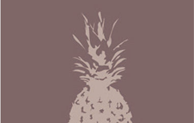 Pineapple - Erica Puccio