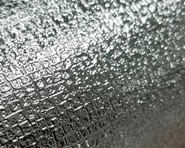 Silver Odessy - Erica Puccio