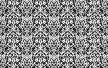 Social - Erica Puccio