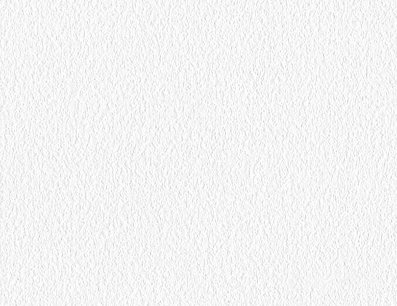 Suede - Erica Puccio