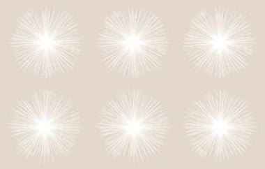 Sunkissed - Erica Puccio