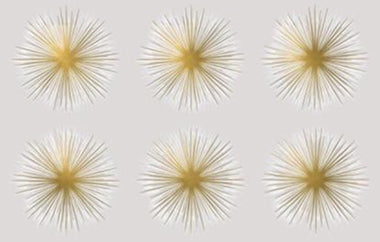 Sunkissed - Erica Puccio