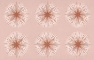 Sunkissed - Erica Puccio