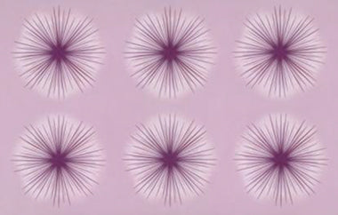 Sunkissed - Erica Puccio