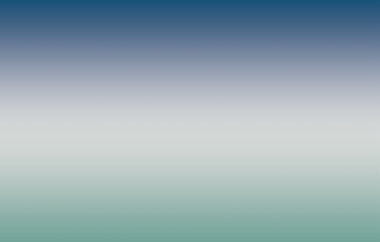 Vision - Erica Puccio