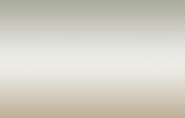 Vision - Erica Puccio