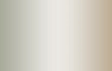 Focus - Erica Puccio