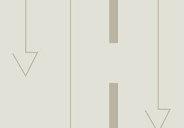 Arrow - Erica Puccio