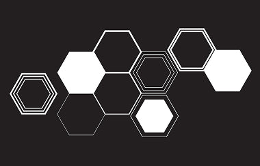 Beehive - Erica Puccio