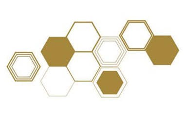 Beehive - Erica Puccio