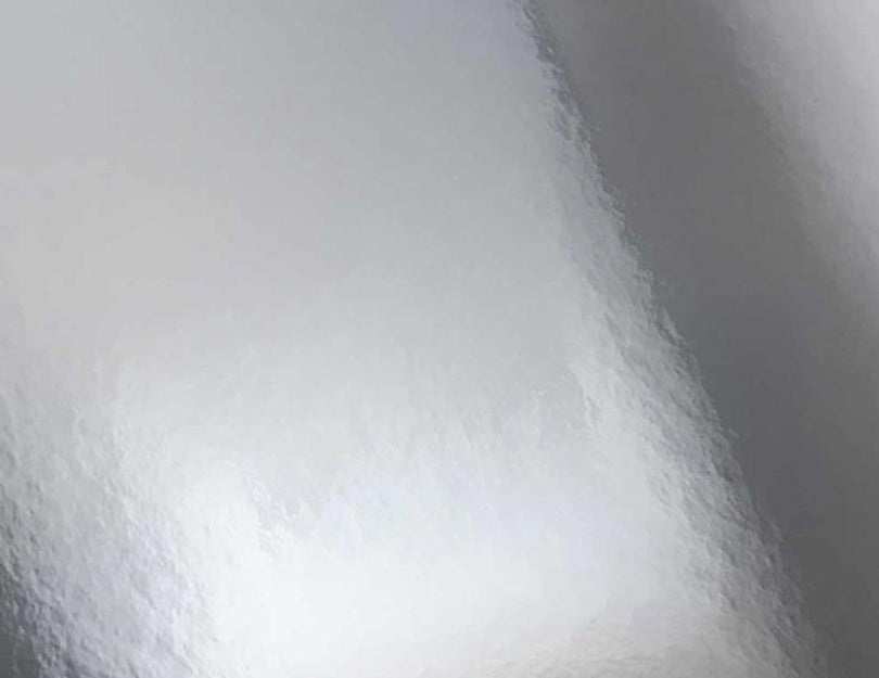 Silver - Erica Puccio