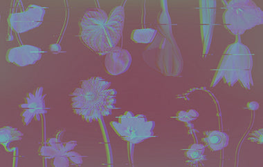 Double Take - Erica Puccio