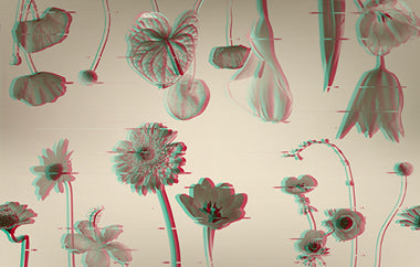 Double Take - Erica Puccio