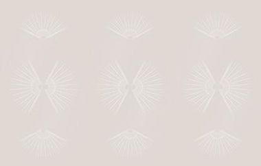 Fan Fair - Erica Puccio