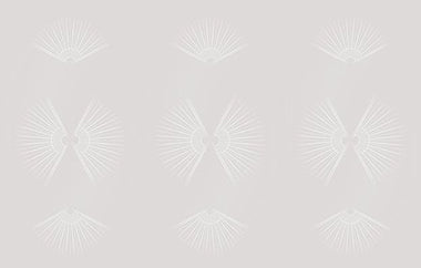 Fan Fair - Erica Puccio