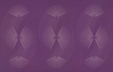 Fan Fair - Erica Puccio