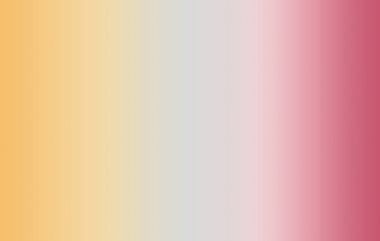 Focus - Erica Puccio