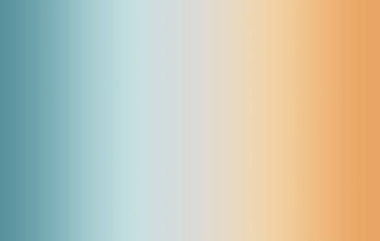 Focus - Erica Puccio