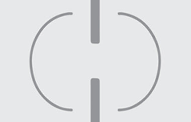 Linked - Erica Puccio